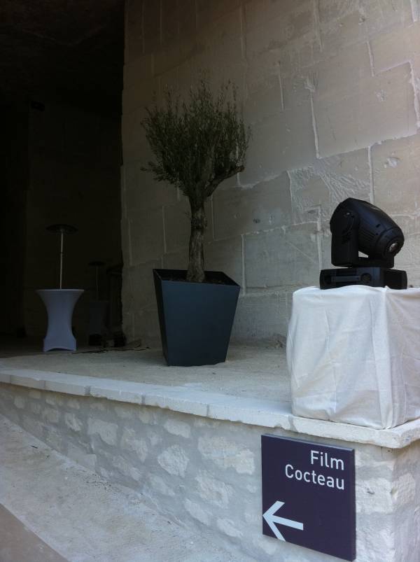 Clorofil Events a été sollicité par les Carrières de Lumières aux Baux de Provence pour décorer les espaces réceptifs de l'inauguration du nouveau site.
