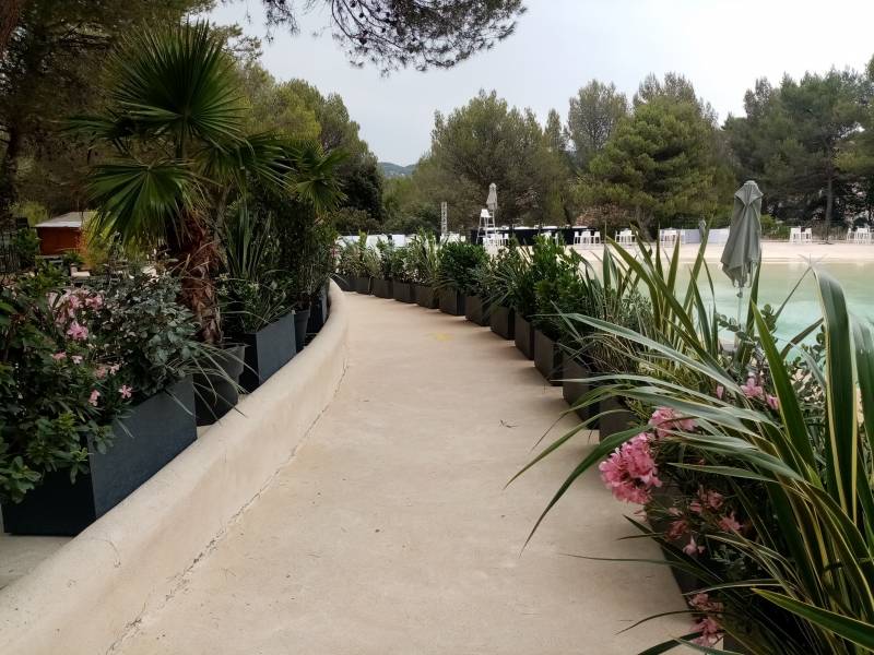 Les plantes en location sont plus hautes du côtés de la terrasse de réception et plus basses pour dégager la vue sur la piscine de Golf de Pierre et Vacances à Pont Royal.