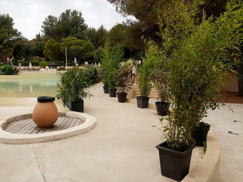 Les pots de bambous soulignent les arrondis des allées de la terrasse et s'harmonie avec les jardinières.